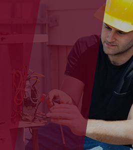 Browse product galleries